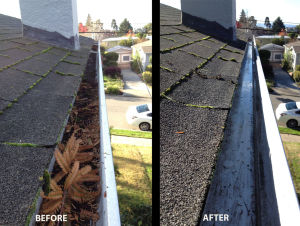 Gutter-cleaning-before-after-6