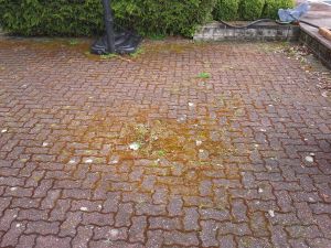 Moss-covered-pavers